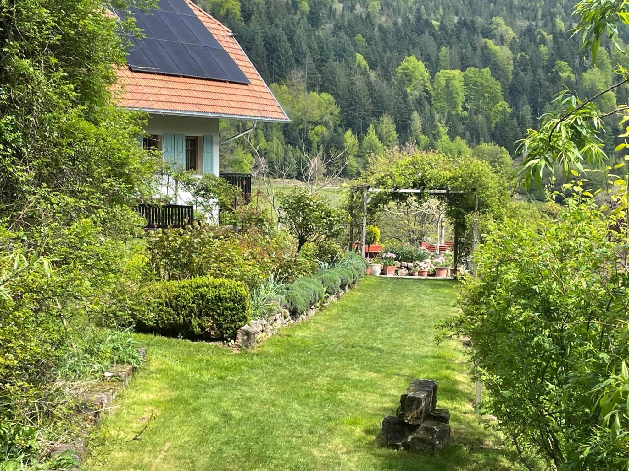 Maison d'hôtes The Moosbach Garden à Nordrach Extérieur photo